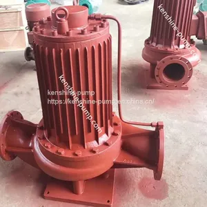 IRG Vertical Pipeline Hot Water Circulation Pump thumbnail-3