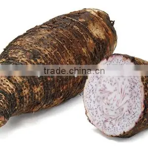 High Quality Fresh Taro Root thumbnail-1