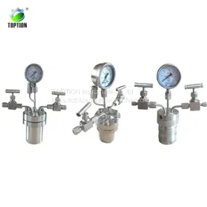 Hydrothermal Synthesis Reactor thumbnail-1