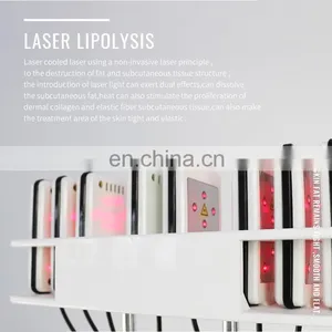 Professional 4 Cryo Handles Cavitation rf Laser Pads Fat Freezing Machine Cool Body Sculpting Therapy Body Slimming Machine thumbnail-5