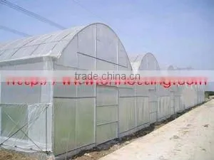 Insect Net With High Quality and Different Colors thumbnail-1