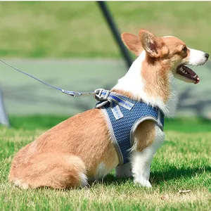 Premium Dog Chest Strap Leash Adjustable Reflective Pet Harness With Padded Handle & No-Pull Design thumbnail-2