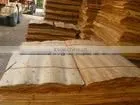 BIG QUANTITY EUCALYPTUS CORE VENEER thumbnail-1