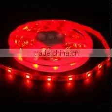 Flexible 12V 24V 5050 Smd Led Strip thumbnail-1