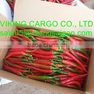 FRESH SMALL CHILI thumbnail-6