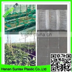 Heavy Duty Long-lasting Flexible Trellis Netting Plant Support Web thumbnail-1