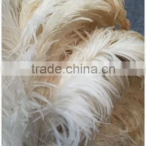 Single Color Feather Duster thumbnail-3