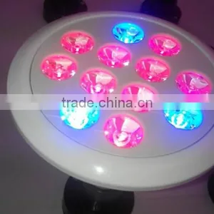 2016 Best Selling Grow Light Leds12W PAR LED Grow Light Full Spectrum COB LED2016 Best Selling Grow Light Leds12W PAR LED Grow l thumbnail-5