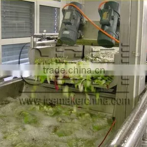 Frozen Food Ice Plate Maker Machine for Five Tons per Day thumbnail-6