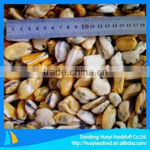 Best Quality Iqf New Mussel Shell on thumbnail-1
