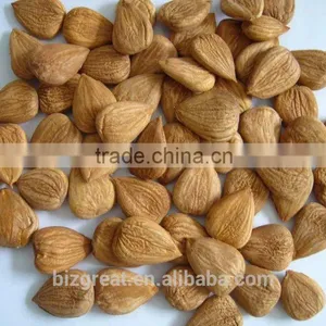 Longwang Bulk Sweet Apricot Kernels for Sales thumbnail-1