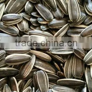 Best Cheap Sunflower Seed 601 thumbnail-1