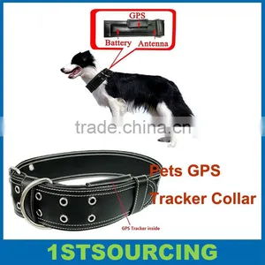Leather Dog Collar and Leash GPS Tracker thumbnail-1