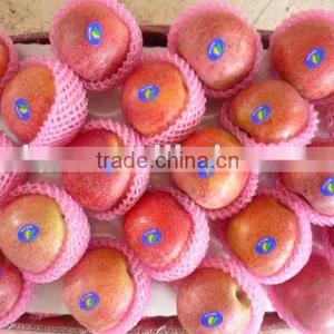 Qinguan Apple thumbnail-1