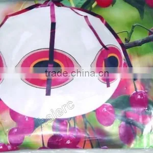 Bird Scaring Balloon thumbnail-1