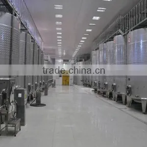Superior Quality Winery Fermenting Tanks thumbnail-1