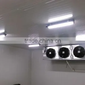 ONN-J02 2015 Newest Led Tri-proof Light / IP65 Modern Ceiling Lights thumbnail-6