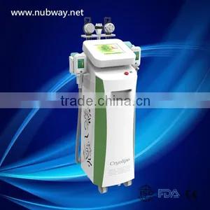 Flabby Skin Hot Selling 5 Handle Weight Loss With A Big Discount Slimming Machine With 3 Cryolipolysis Probes Lose Weight thumbnail-1