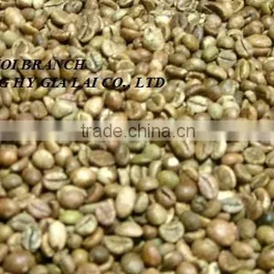 Robusta Coffee Grade 1 Screen 18 thumbnail-2