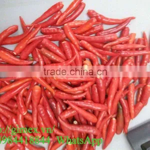HOT PEPPER, CHILLI +84963818434 Whatsapp thumbnail-2