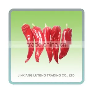 Red Chilli thumbnail-1
