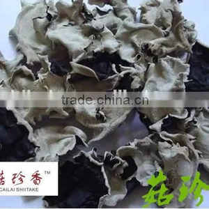 Dried White Back Black Fungus and Purchasing Large Qty Wood Ear Mushroom thumbnail-1