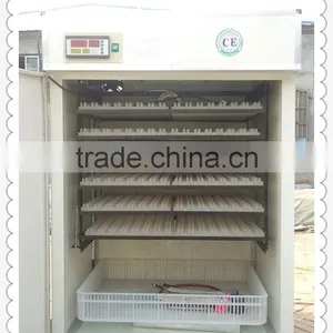 HHD High Hatching Rate Industrial Poultry Hatchery Incubator Quail Egg Peeling Machine thumbnail-1