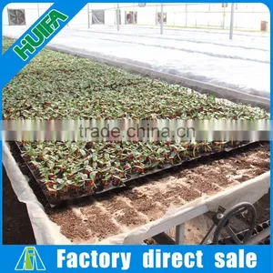 2016 Hot Sale Commercial Greenhouse Growing Benches Tables in USA thumbnail-2