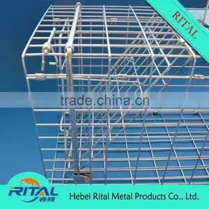 Live Trap Cage,Fox Trap Cage,Animal Trap Cage,mouse Trap Cage thumbnail-2