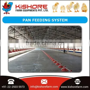 Well Designed Poultry Feeding System for Bulk Broiler at Best Price thumbnail-1