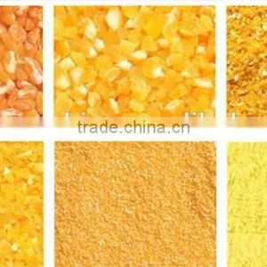 Maize Peeler And Grinder Corn Flour Making Machinery Maize Grits Dehuller and Crusher for Maize Processing Machinery thumbnail-3