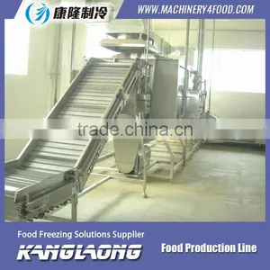 New Technology Large Capacity Fruit Processing Machine thumbnail-2