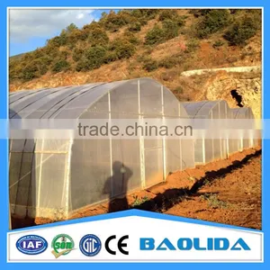 High Performance Pe Film Greenhouse For Strawberry thumbnail-1