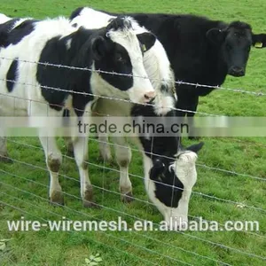 Cattle Fence /Grassland Farm Fence / Farm Guard Field Fence Price thumbnail-1