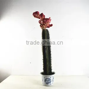 SJ3001102 Artificial Big Grafted Cactus for Landscaping Decoration thumbnail-4