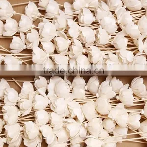 Sola Flower thumbnail-2