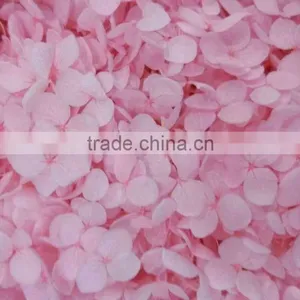 Fresh Artifical Light Pink Hydrangea For Export thumbnail-6