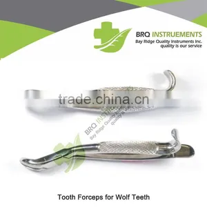 Tooth Forceps for Wolf Teeth thumbnail-1