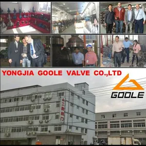 Goole Valve Co.,Ltd company overview - view 1 thumbnail