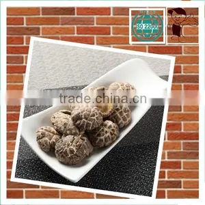 DRIED SHIITAKE-TEA FLOWER MUSHROOM thumbnail-1