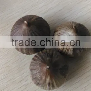 Black Garlic Fermented by Natural Solo Garlic thumbnail-1