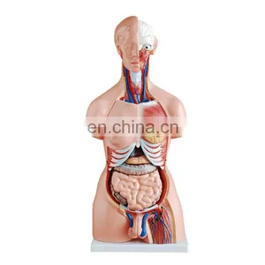 Multi-functional Advanced Medical Science Mannequin Trauma Nursing Training Manikin Nursing Training Mannequin thumbnail-1