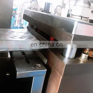 DPP-250 Automatic Blister Packing Machine Price With Blister Packing Machine Mould thumbnail-5