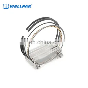 2M4790 Wellfar Ram 1500 Ram 2500 Durango Dakota Piston Rings For Gm 287cid (4.7l) Sohc Edv Engine thumbnail-3