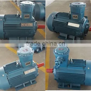 IP55 200kw Three Phase Expolsion Proof Induction Motor thumbnail-4
