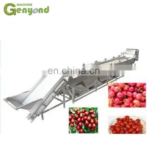 Custom Fresh Medjool Dates Sorting Machine for Vegetable and Fruit Sorter thumbnail-1