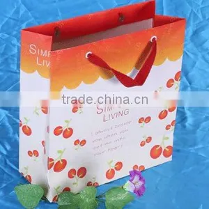 Simple Style Paper Hang Bag Fashion Bag Made in China thumbnail-3