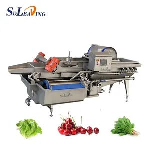 Vegetable and Fruit Automatic Bubble Vortex Vegetable Washing Machine Citrus Washing Machine thumbnail-2