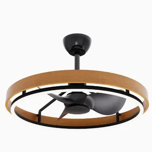 Ceiling Fan Light/variable Frequency Bedroom Fan Light（Wechat:13510231336） thumbnail-2