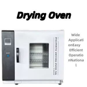 Electric Blast Drying Oven Laboratory Drying Oven/Laboratory Small Industrial High Temperature Drying Oven thumbnail-2